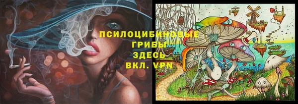 ECSTASY Алексеевка