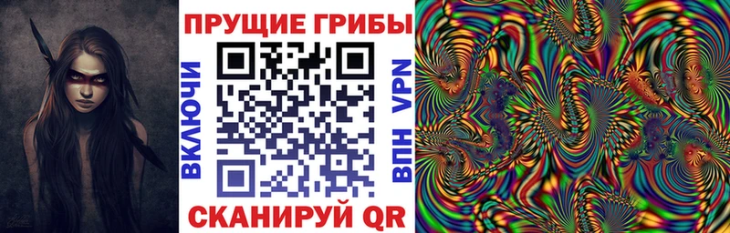 Псилоцибиновые грибы мицелий  Саров 